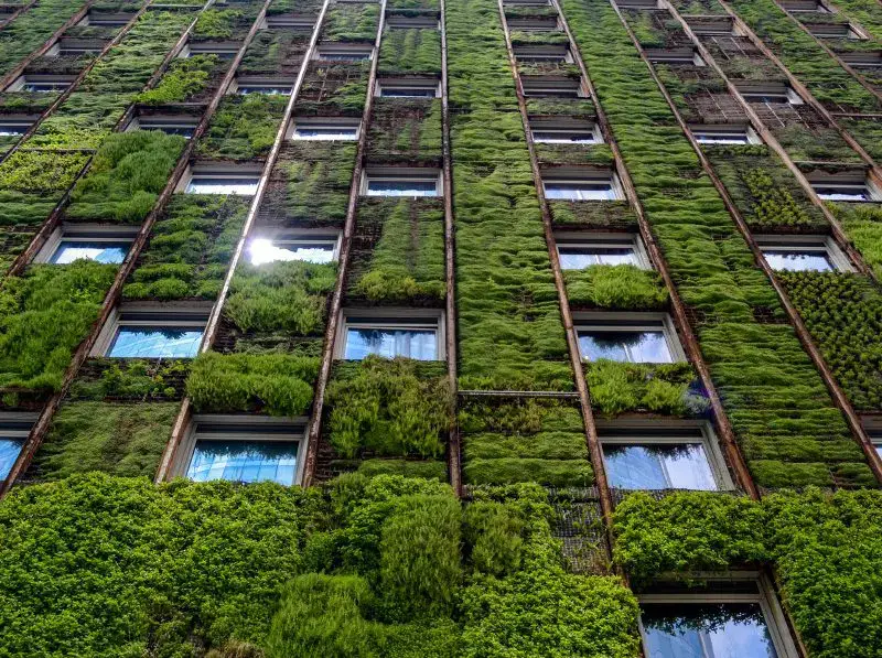 Cudd Bentley Consulting Sustainability Solutions